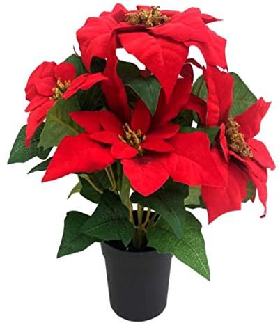 GreenBrokers Planta de Flores Artificiales de Navidad de Poinsettia roja en Maceta de 36 cm