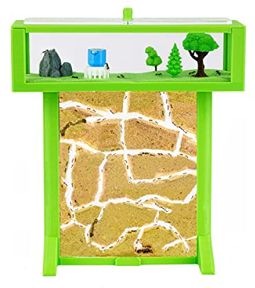AntHouse - 3D Ameisenfarm aus Sand | Grün T Kit 15x15x1,5 cm | Inklusive Ameisen