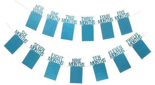 TOYANDONA 1satz Foto Wimpelkette Für Geburtstag Niedliche Dekoration Für Erste Lebensjahre Erinnerungen Festhalten Monatliche Meilensteine Blaues Design