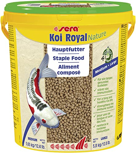 sera Koi Futter Royal Medium 21 l (5,65 kg) | Hauptfutter für 12-25 cm Koi | Teichfutter frei von Farb- & Konservierungsstoffen | Leicht verdaulich & wasserfreundlich | Fischfutter Teich