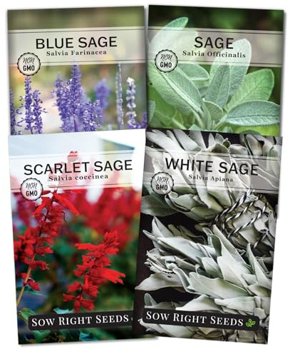 Sow Right Seeds - Sage Seed Collection - Salvia Seeds for Planting Indoors & Outdoors - Common, Blue, Scarlet & White - Non-GMO Heirloom Varieties - Grow Aromatic Herb Garden - Herbal or Culinary Use