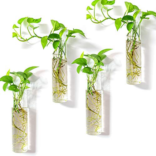 Kingbuy Wandmontiertes Pflanzen-Terrarium Anzuchtstation – 4 Zylinder hängende Glasröhren Pflanzgefäß für Hydrokulturpflanzen, Innenwandvasen & dekorativer Pflanzenhalter Badezimmer Büro Wohnzimmer