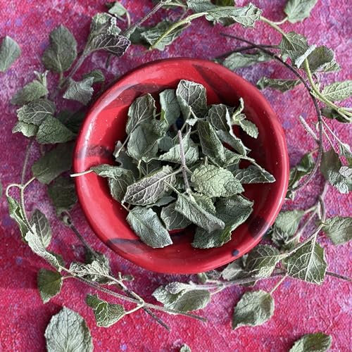 Edible Strawberry Mint Leaves - 400ml - Freeze Dried - UK Product - Certified Food Grade (522)