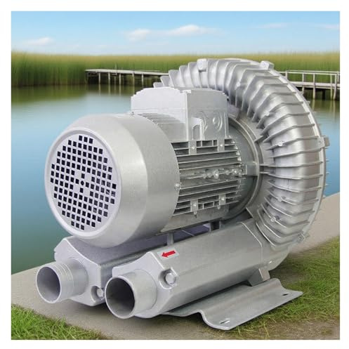Ventilatore industriale ad alta pressione ad anello a vortice, design interamente in alluminio, 120 W-1100 W per applicazioni di acquacoltura, polvere d'aria e ventilazione