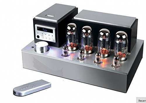 GOWE Amplificatore valvolare interruttore Pure Power amp o amplificatore integrato KT88 Push-Pull ms110bamps
