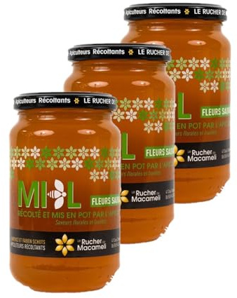 Lot 3x Miel de Fleurs Sauvages - Monts du Lyonnais - Rhône Alpes - Le Rucher de Macameli - pot 500g