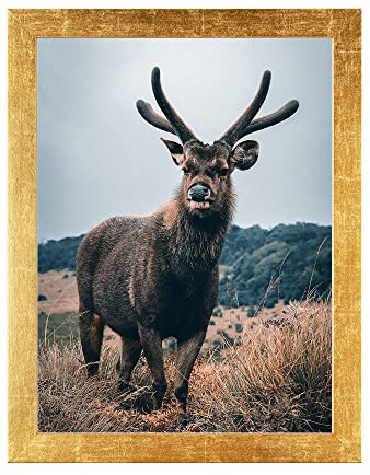 Rahmendesign24 Posterrahmen Milano 60x80 Blattgold Gold Fotorahmen, Wechselrahmen, Bilderrahmen, Puzzlerahmen