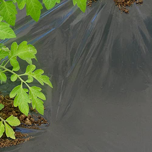 TENAX Film de Paillage Dot Cover 1,50x5 m Noir, Film Micro Perforé Perméable Anti-Mauvaises Herbes pour Paillage, Idéal pour Potager, pour Légumes et Fraises