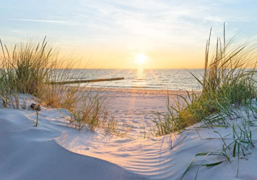 decomonkey Premium Fototapete Strand 350x256 cm Tapete Fototapeten Vlies Tapeten Vliestapete Wandtapete Moderne Wand Wandbild Schlafzimmer Wohnzimmer Meer Dünen Sonne Himmel Natur Panorama Wasser