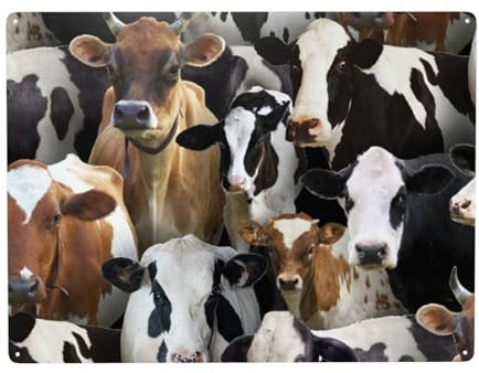 KemEng Animales De Granja Vacas Lecheras Vaca, Impresiones artísticas en la pared, letrero metálico, decoración, pintura para colgar en la pared, 30 x 40 cm