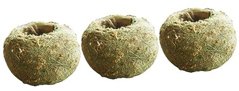 ABOOFAN 15piezas Macetas De Suculentas para Jardín y Hogar Recipientes De Plantas Decorativos para Flores y Plantas De Interior y Exterior