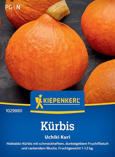 Kiepenkerl Kürbissamen Uchiki Kuri 1029880 - Hokkaido Kürbis - schmackhaft - dunkelgelb - rankender Wuchs - 1-1,5kg - Samen Gemüse, Saatgut, Gemüsepflanzen