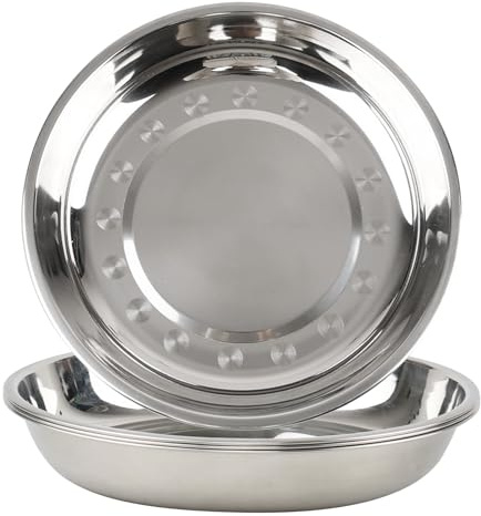 Lesbye 4 Pcs 25.7 CM Stainless Steel Plate, Siver Serving Dishes, Round Platter for Camping, Barbecue, Picnics, and Outdoor Use