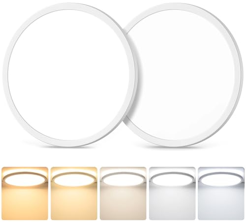 2-Pack 20W Dimmable LED Flush Mount Ceiling Lights, 10 Inch 2600LM Ultra Thin Round Light Fixtures Ceiling Mount, 2700K/3000K/4000K/5000K/6500K Selectable, Modern LED Lamps for Stairwell, Basement