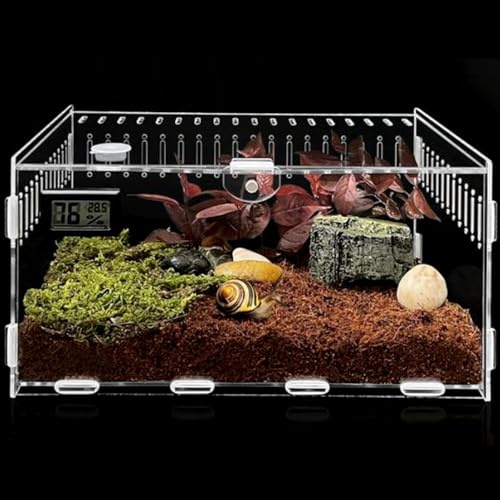 Acryl Terrarium, Schnecken Terrarium 30CM*20CM*15CM, Reptil Acryl Fütterungsbox, Reptilien Aufzuchtbox, Tragbarer Kriechender Haustier Critter Box für Spide, Skorpion, Schnecken, Spinnen