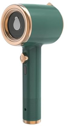 Mini Resestrykjärn Handhelda Hängande Strykmaskin Torr Och Våt Bekväm Järnrotar för resor och hem(Ink-green)