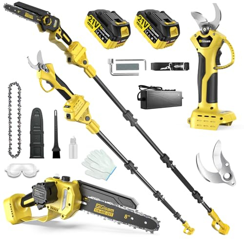 8 Pouces Mini Tronconneuse avec Perche & Secateur Electrique, 4-en-1 Ensemble d’Outils de Jardin avec 2 * 4000 mAh Batteries, Moteur Brushless, Portée Maximale Jusqu’à 4,2 m pour Jardinage/Arbres