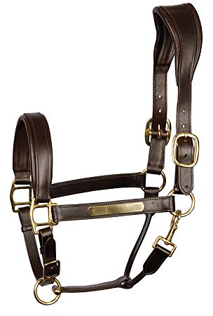 Harry's Horse 28300071-05-COB Deluxe Vorderzeug, Cob, Schwarz