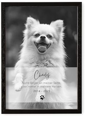 DEL MÀ Unique & Personal Andenken an verstorbenen Hund Bild im Stil einer Gedenktafel zur Erinnerung & Trauer personalisiert mit Foto Geschenk für Hundebesitzer mit Bilderrahmen Din A4 (Hochformat)