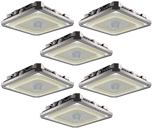 Lightdot 6Pack 100W LED Canopy Celling Lights, Large Coverage 15000LM Canopy Light Outdoor LED for Garage Carport Entrance Porch Barn 5000K, 100-277V IP65 Waterproof, ETL Listed