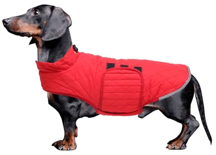 Babepet Steppmantel für Dackel, wasserdichte Winterjacke für kleine Hunde mit Fleecefutter, reflektierender Wurstpullover mit Geschirrloch, Rot, Größe S