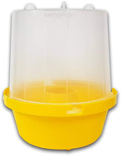 Entopest 1 x Hanging Wasp Trap Pot Kit - Professional Control & Monitoring of Problem Wasps for Perimeter Garden Outdoor External Use