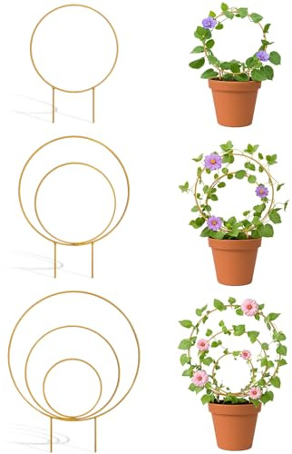 3 Pack Premium Round Plant Trellis Indoor, Small Metal Plant Support Stake for Climbing Plants, Different Sizes Gold Garden Trellis for Ivy and Flowers Outdoor