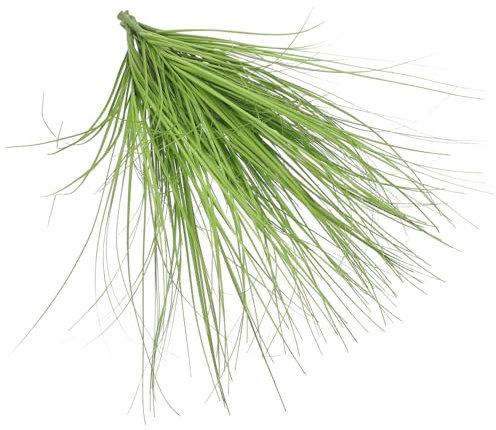 Vaguelly 8pcs Simulated Reed Grass Artificial Grass Decor Vase Filler for Indoor Plants Arrangement