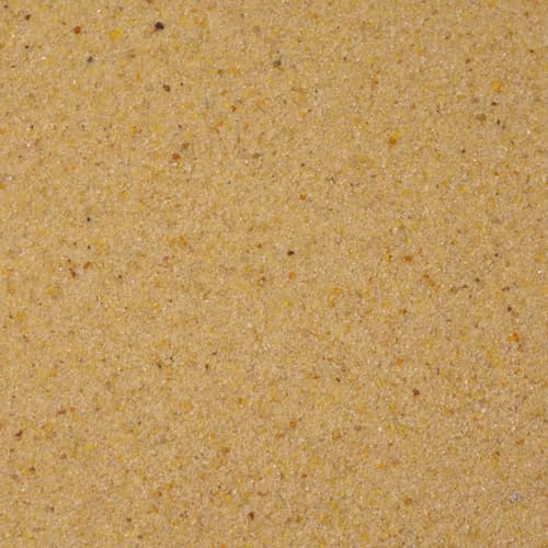 Dihl 12.5KG Silver Sand, Fine Grade for Aquariums, Terrariums, Bird Cages, Planters or Flowerpots. 0.3mm to 0.4mm Grain Size, Non-Toxic Natural Substrate Decoration, 12.5 KG