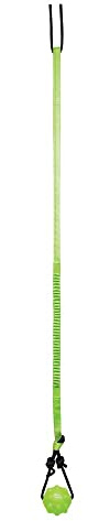 Jolly Pets Tree Tugger Interactive Bungee Dog Toy, Green