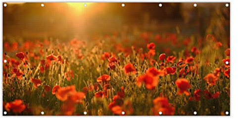 MuchoWow® Balkon Sichtschutz Sichtschutzmatte Balkonbanner Abdeckung für Terrasse Balkon Windschutz Blickdicht Wetterfest 200x90 cm Orangefarbenes Leuchten über den Mohnblumen auf dem Feld