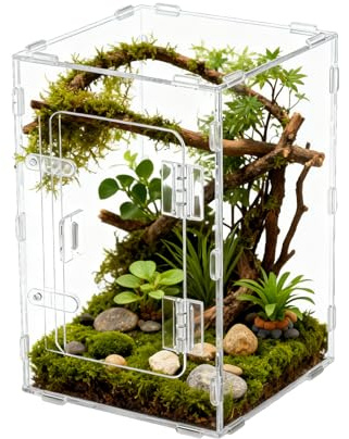 Hoppspindel Bur - Genomskinlig Akryl Klätterzon - Terrarium För Bönsyrsor | För Reptil Fisk Sköldpadda Skäggagam Orm Sköldpadda Gecko Eremitkräfta