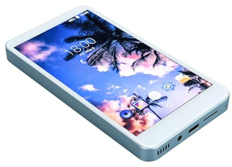 Lettore MP3 da 128 GB, Lettore MP4 HiFi con Schermo HD da 5,0 Pollici, Lettore Musicale con Batteria a Lunga Durata da 2200 MAh e 30 Ore, Dotato di Cuffie da 3,5 Mm, Tipo C