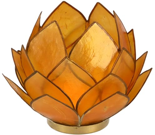 GURU SHOP Lotus Teelicht Muschel 14x10 cm - Goldgelb
