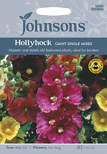 Johnsons Hollyhock Giant Single Mixed