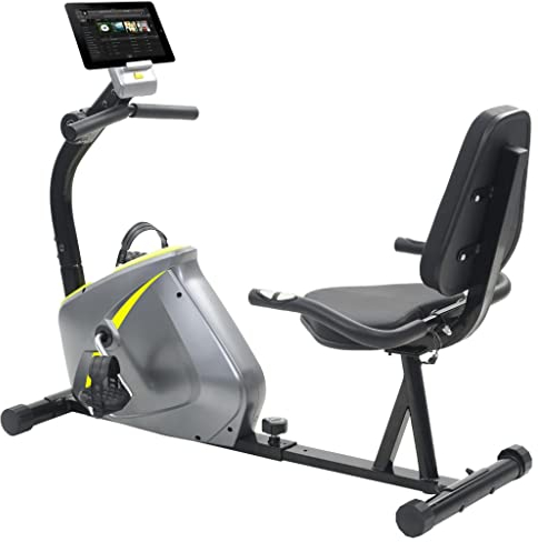 vidaXL Recumbent Exercise Bike: Magnetic Resistance - Adjustable 8-Level Tension Control, LCD Display with Pulse Monitor and Tablet Holder, Ergonomically Designed Seat, in Grey