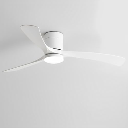 Pilanp Minimalist Ceiling Fan with 28W LED Light Smart Remote Ceiling Fans with Lights Low Profile Quiet Ceiling Fans Flush Mount for Bedroom Living Room Dining Room