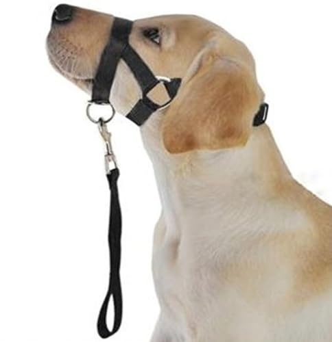 Hidyliu Museruola per Bocca di Cane, Cavezza Regolabile per Collare per Testa di Cane per Prevenire L'abbaiare dei Morsi, con Corda da Traino per Controllo e Addestramento Sicuri (S)