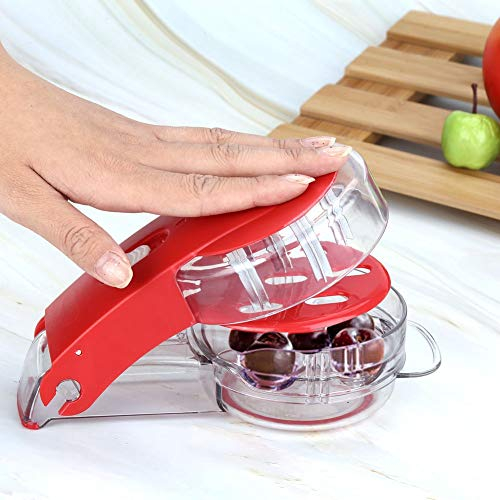 Akozon Cherry Pitter Sees, Cheery Cherries Seed Remover Tool Home Office Stoner e Olive Travel Fruit Stone Extractor Gadget Lame Zigzag in Acciaio Inox Ciliegie - 6 ciliegie