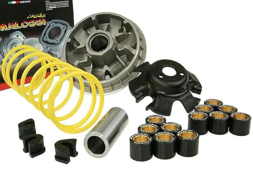 Malossi 2000 Multivar 2000 Variomatik pour Kymco Maxxer 300 (Wide MMC), People S 300i | Rampe, ressort de poussée; galets 23x18 millimètres 6x17/6x20 grammes; compatible avec Kymco People S 300i, X-Citing 300i