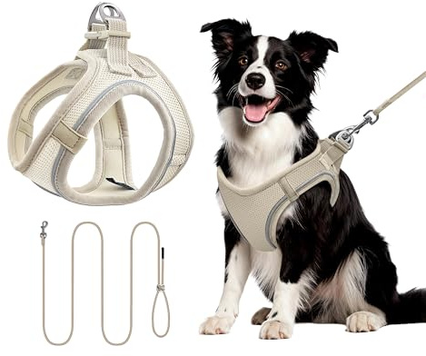 Hundegeschirr mit Leine 255cm L Set, Reflektierend (Beige) | Brustgeschirr Für Mittelgroße Hunde, Atmungsaktives Mesh Gewebe, Anti-Ausbruch, Spaziergang