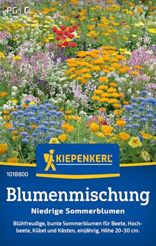 Kiepenkerl Blumensamen-Mischung Niedrige Sommerblumen 1018800 | Farbenfrohe Blumenmischung für Garten & Balkon | Fördert ökologisches Gleichgewicht | Reichblühende Samen für Bienen & Nützlinge