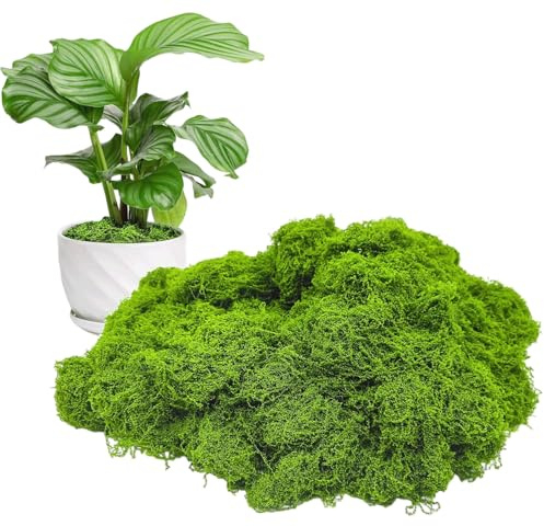 FrostyFlair Artificial Moss for Decorating 300g, Nativity Accessories Moss & Artificial Moss, Crafting Moss for Decor, Moss Art, Crib & Table Decoration