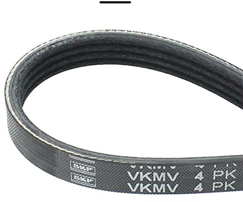 SKF VKMV 4PK954 Correa Multi-V
