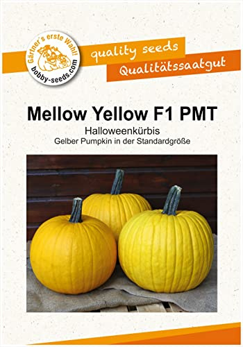 Mellow Yellow F1 PMT Kürbissamen von Bobby-Seeds Portion