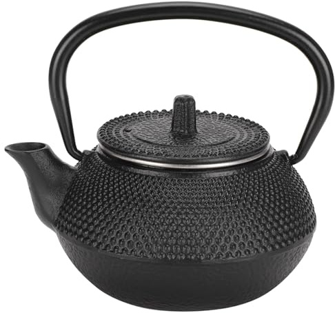 Ejoyous Tetera de Hierro Fundido, Tetera, Tetera de Estilo Japonés, Tetera, Colador de té con Colador, 300 Ml