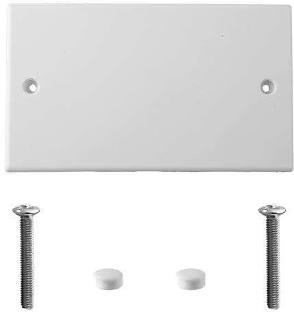 Tabanzhe 1pc Double Blanking Plate Cover 2 Gang Universal White Plug Socket Faceplate Blank Plate with Screws for Electrical Sockets Back Box