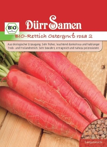 Dürr Samen 0925 Rettich Ostergruß 2 rosa (Bio-Rettichsamen)