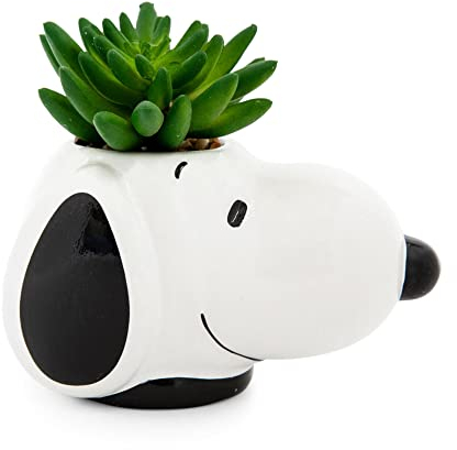 Peanuts Snoopy Face Mini pot de fleurs en céramique avec plantes grasses artificielles | Petit pot de fleurs, plantes d'intérieur artificielles pour étagère de bureau, plateau à bijoux pour décoration