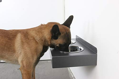 Fabricios Elegante Hängende Hunde Futterbar für die Wand aus Metall mit 2X Edelstahl Hundenapf (Titan Grau)